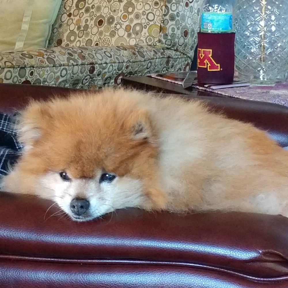 Meet your Posher, Denise